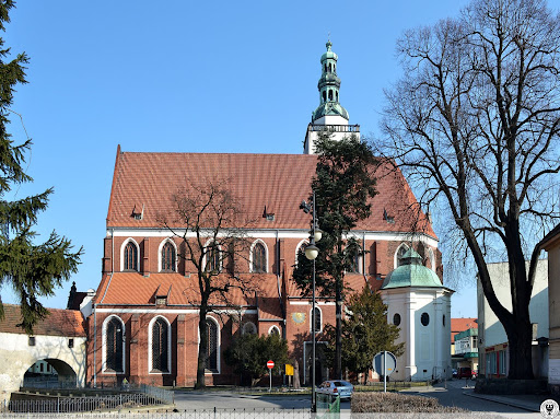 Historia, która wraca z podziemi. Muzeum w Oleśnicy ponownie otwarte
