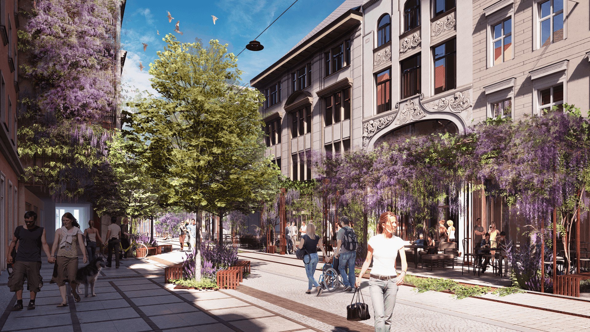 Oddech dla serca miasta. Wrocławski rynek zaczyna się zazieleniać