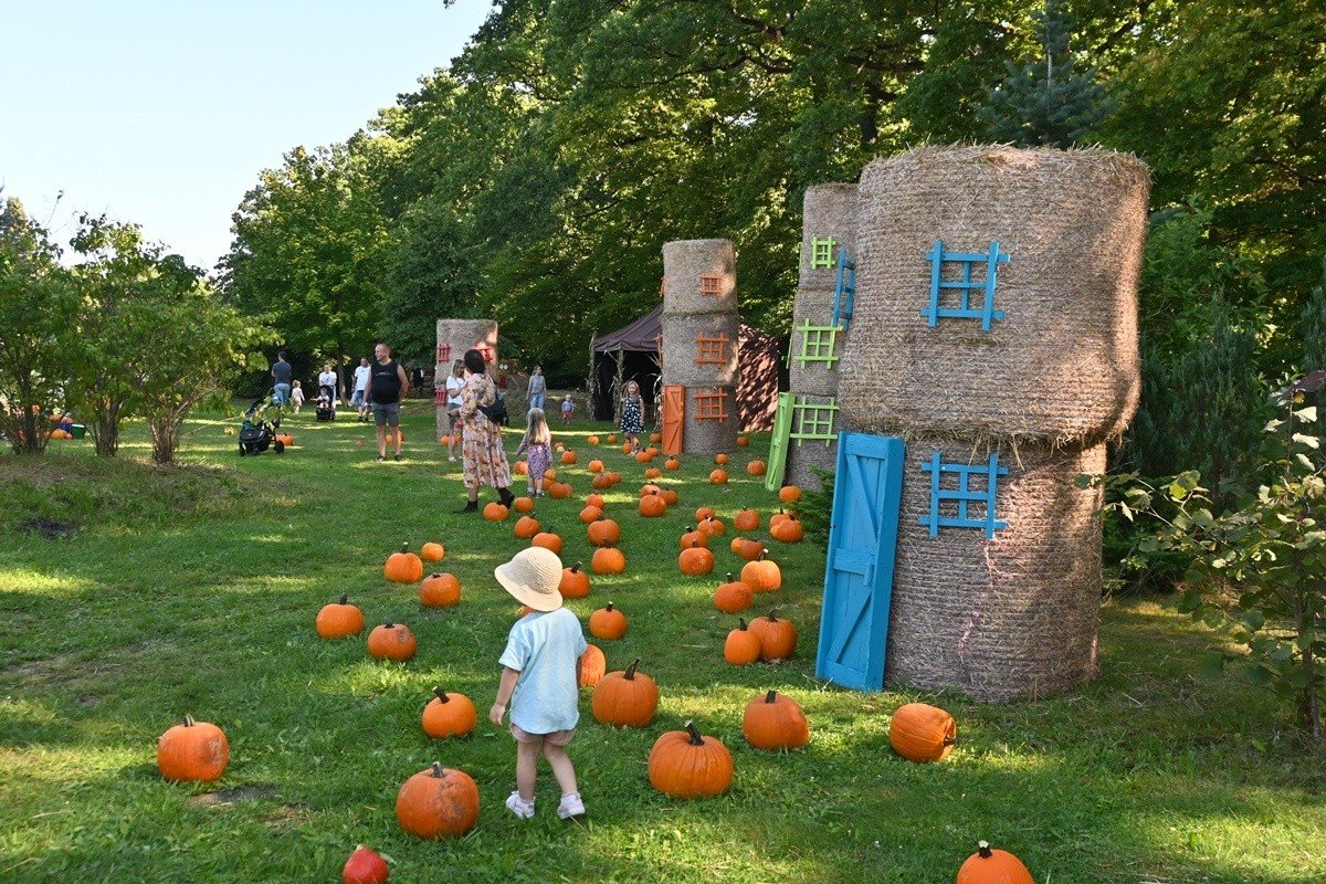 Farma, która zmienia ludzkie historie. Wrocław pokazuje, jak ekologia może ratować życie i budować przyszłość